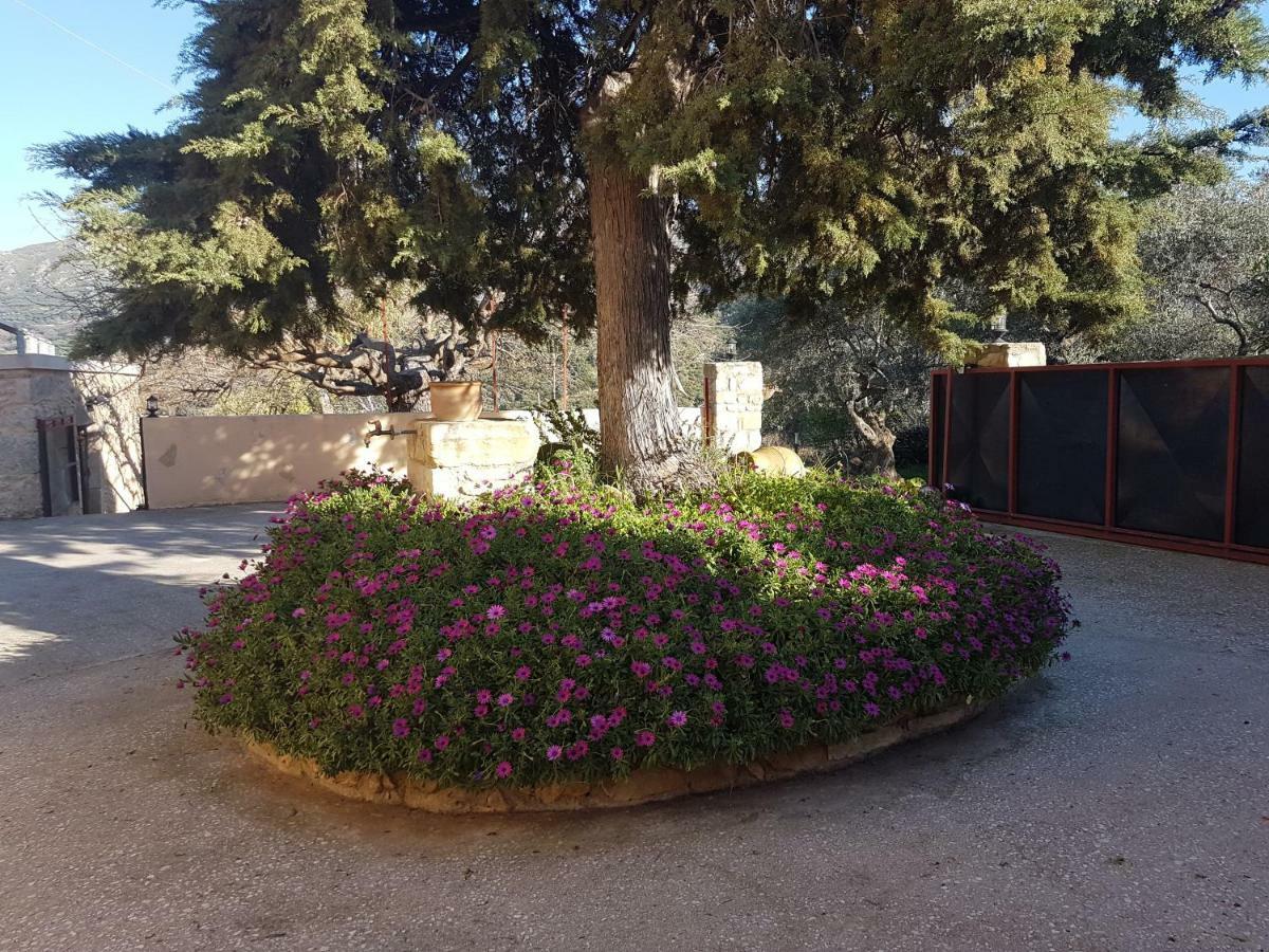 Mouri Villa Mourion (Chania) Exterior foto