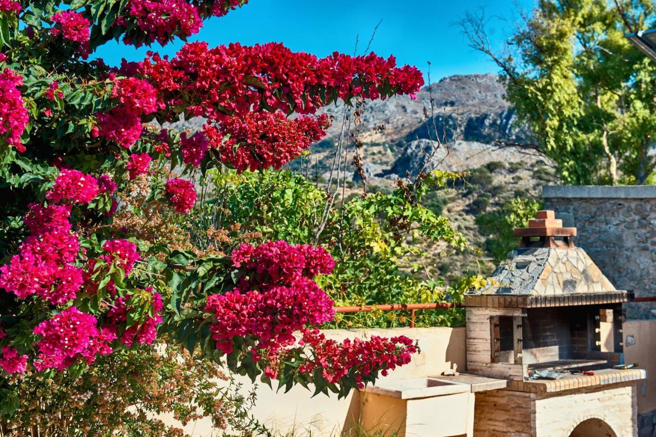 Mouri Villa Mourion (Chania) Exterior foto
